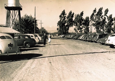 Murphy Avenue in front of Yonemoto Nursery - September 1941